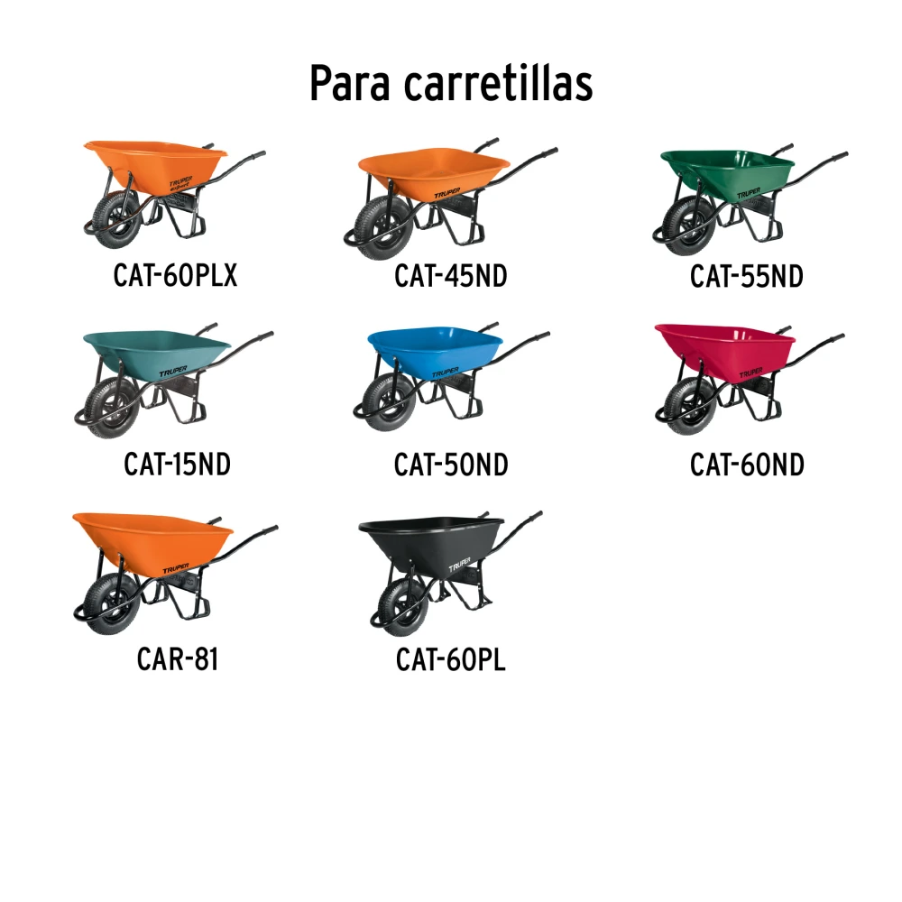 CARN+D1.webp