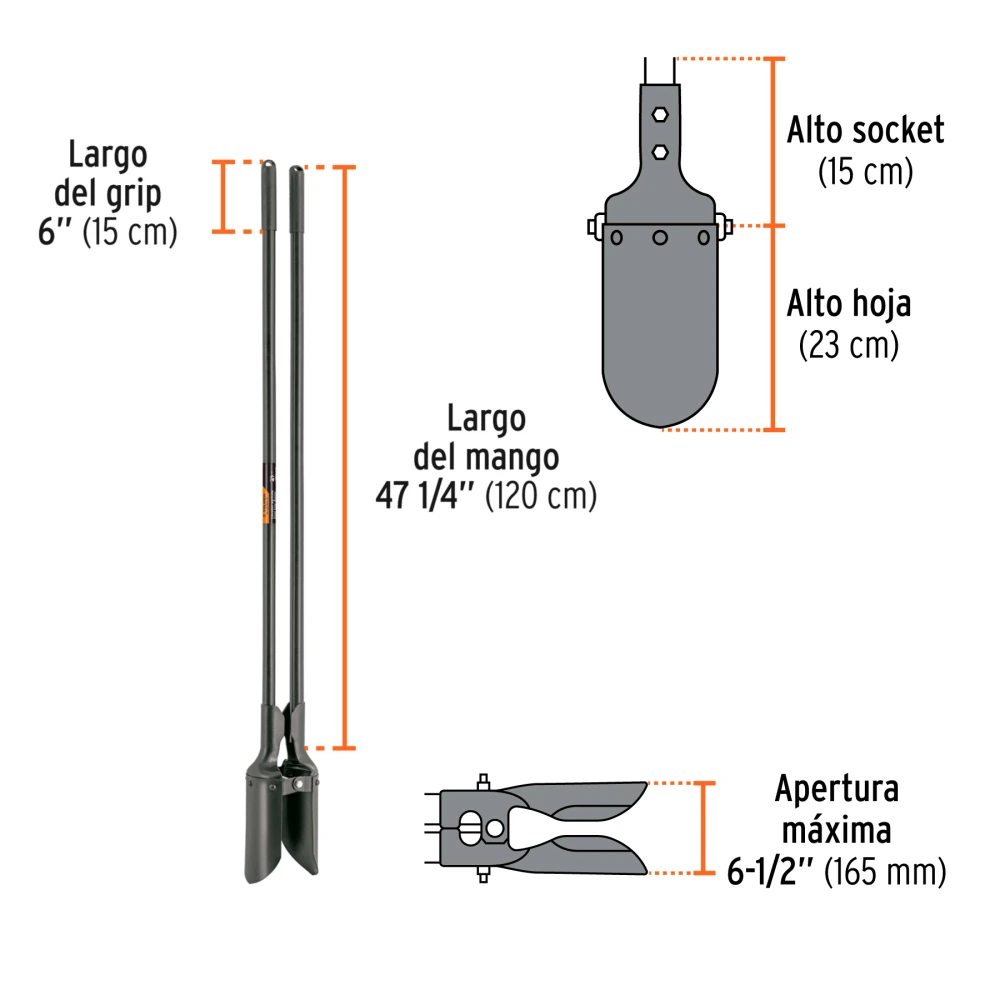CA-38M+BDER1.webp