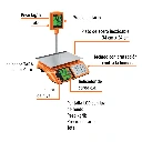 BASE-40T+FC1.webp