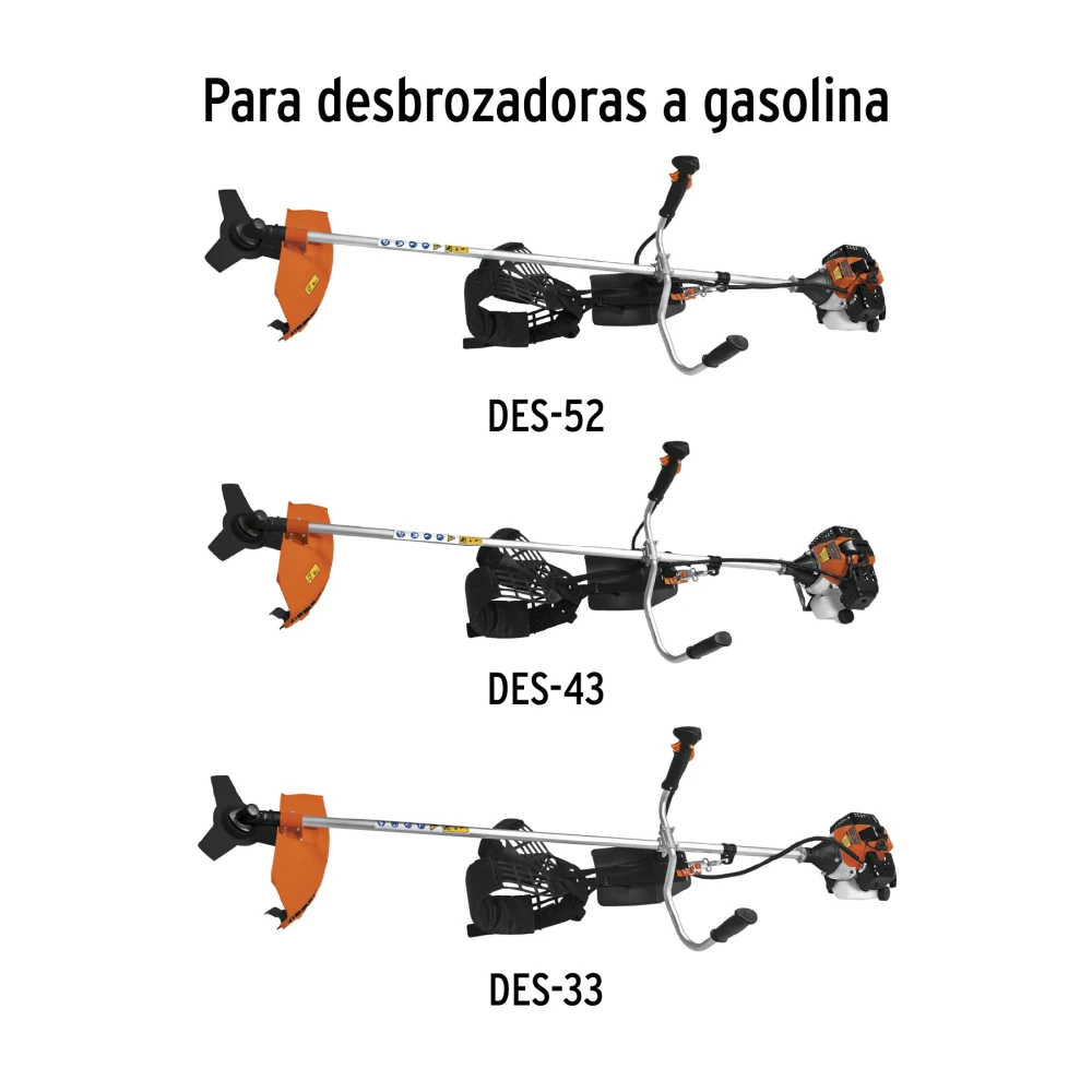 CAR-GRUPO-01+D1.webp