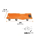 CATA-36P+FC2.webp