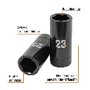 D-7323-ML+FC1.webp