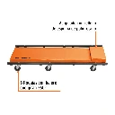 CATA-40+FC1.webp