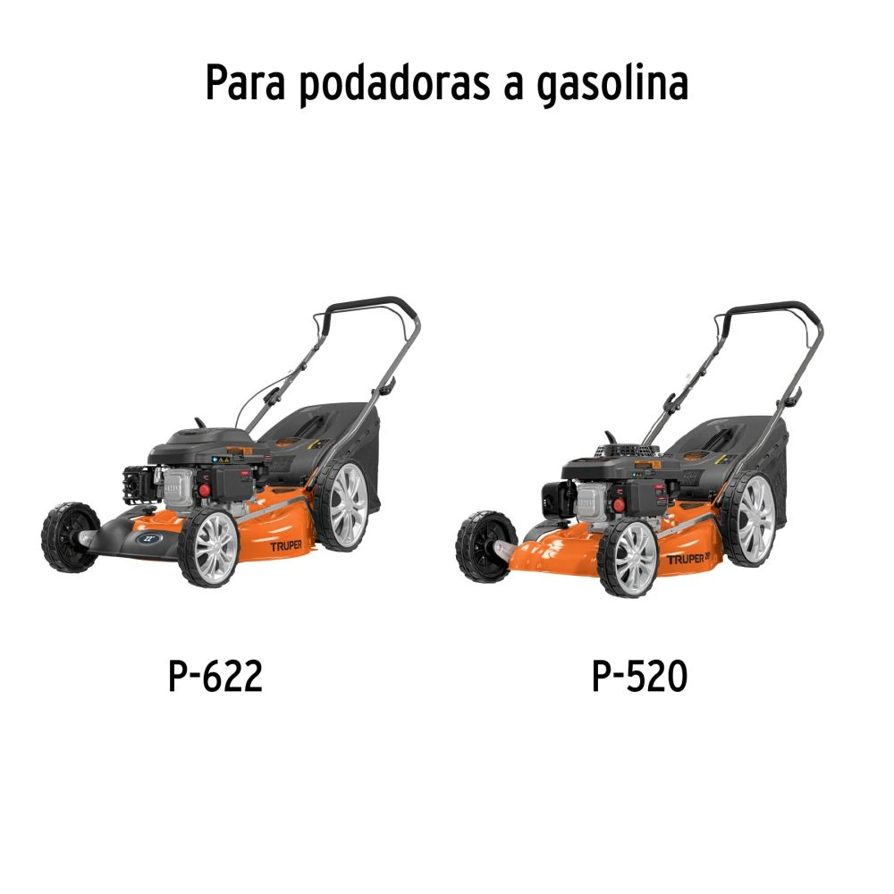 BOL-P+D1.webp