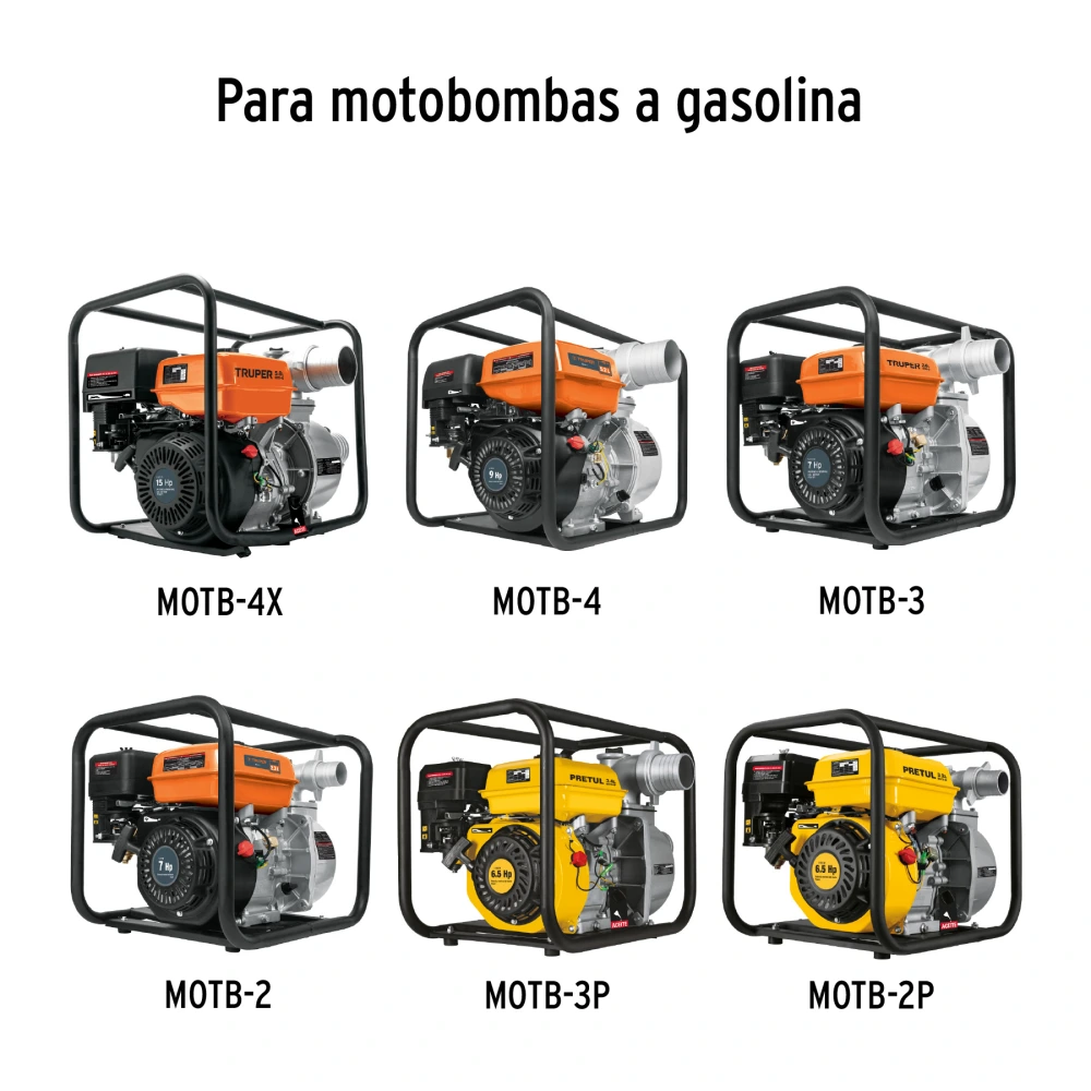 BUJI-MOTO+D1.webp