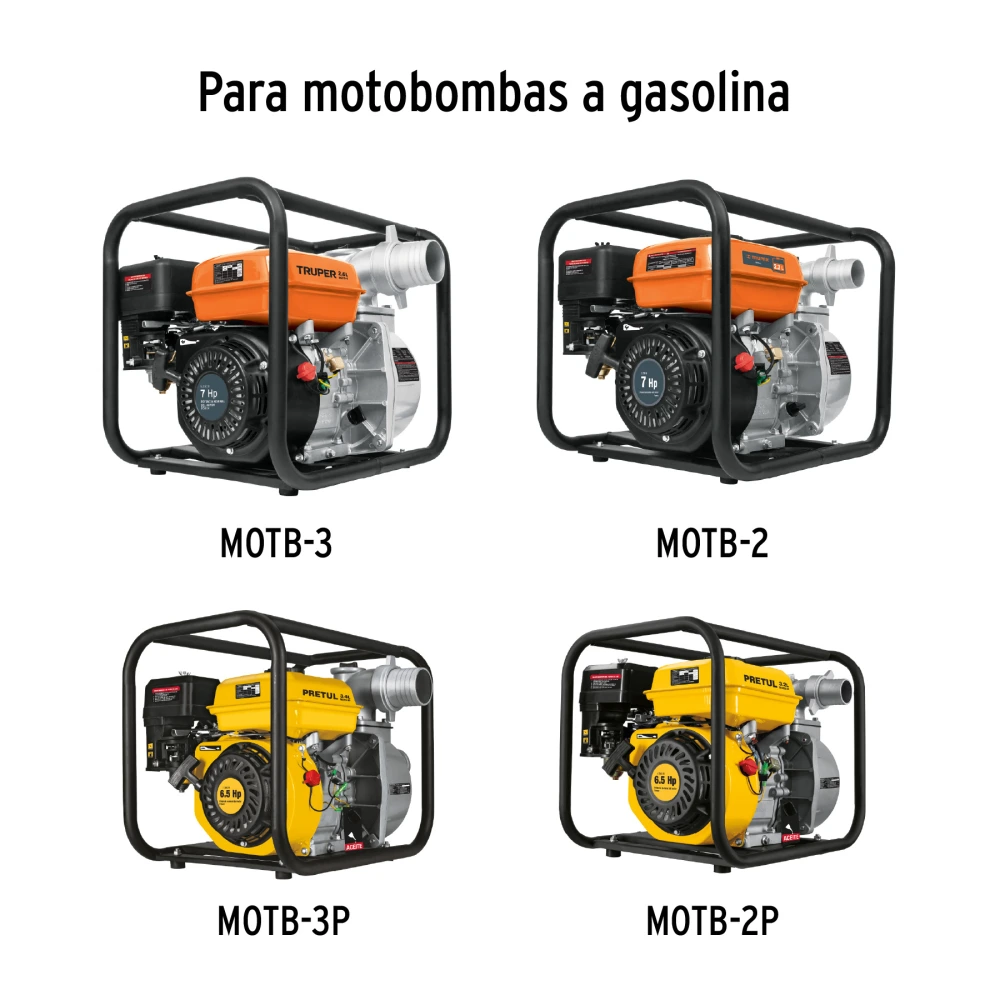 BAYO-MOTO+D1.webp