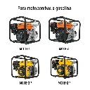 BAYO-MOTO+D1.webp