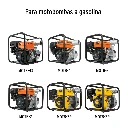 FILG-MOTO+D1.webp