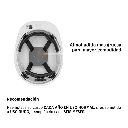 CAS-BI+FC1.webp