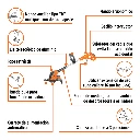 DES-550+FC1.webp