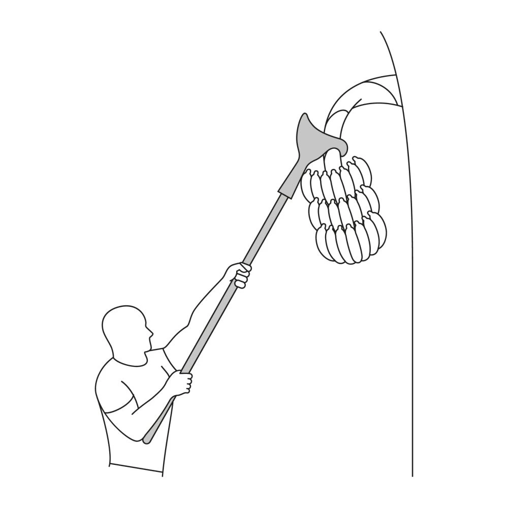 LUC-P+FC2.webp