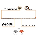 BSM-3-4X36+BIZQ1.webp