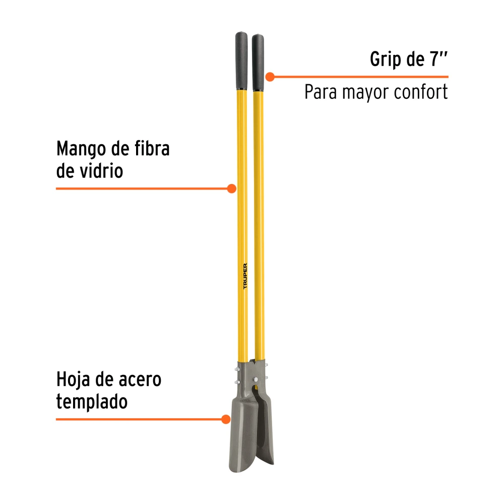 CA-36F+BIZQ1.webp