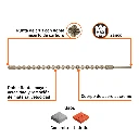 BSM-1-1-4X36+BIZQ1.webp