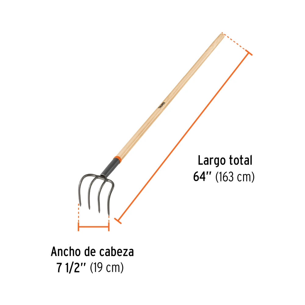 CUL-5+FC2.webp
