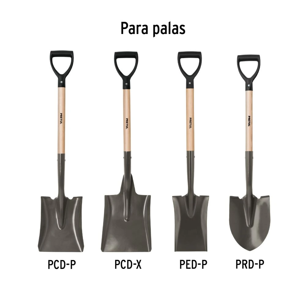 MG-PDP-Y+D1.webp