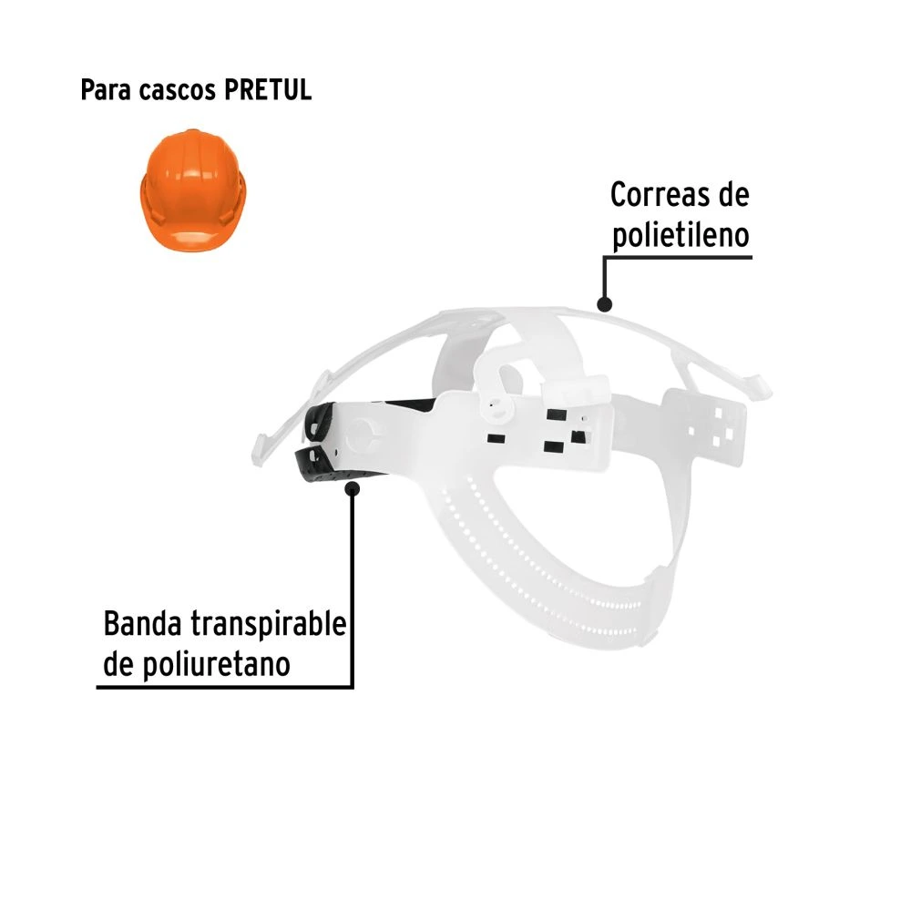 SUS-CASP+FC1.webp