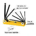 TORX-8P+FC1.webp