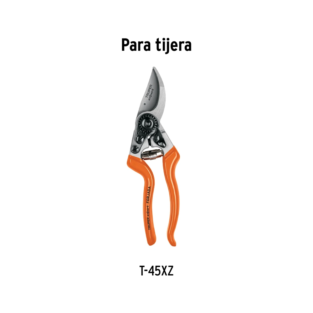 REP-T45XZ+D1.webp