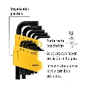 ALL-13P-P+FC1.webp