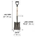 PCD-P+FC2.webp