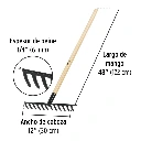 R-12MP+FC2.webp