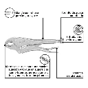PP-10C+BIZQ1.webp