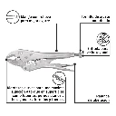 PP-7C+BIZQ1.webp