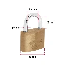 CL-50XP+D4.webp