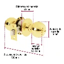 BAL-LB-BP+FC1.webp