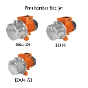 PATA-BOAJ-1I-1I+D1.webp