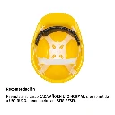 CAS-AP+D2.webp