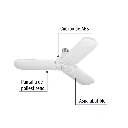 LED-250V+FC1.webp