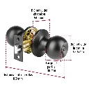 BALT-NE-RP+FC2.webp
