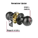 BALT-NE-RP+FC1.webp