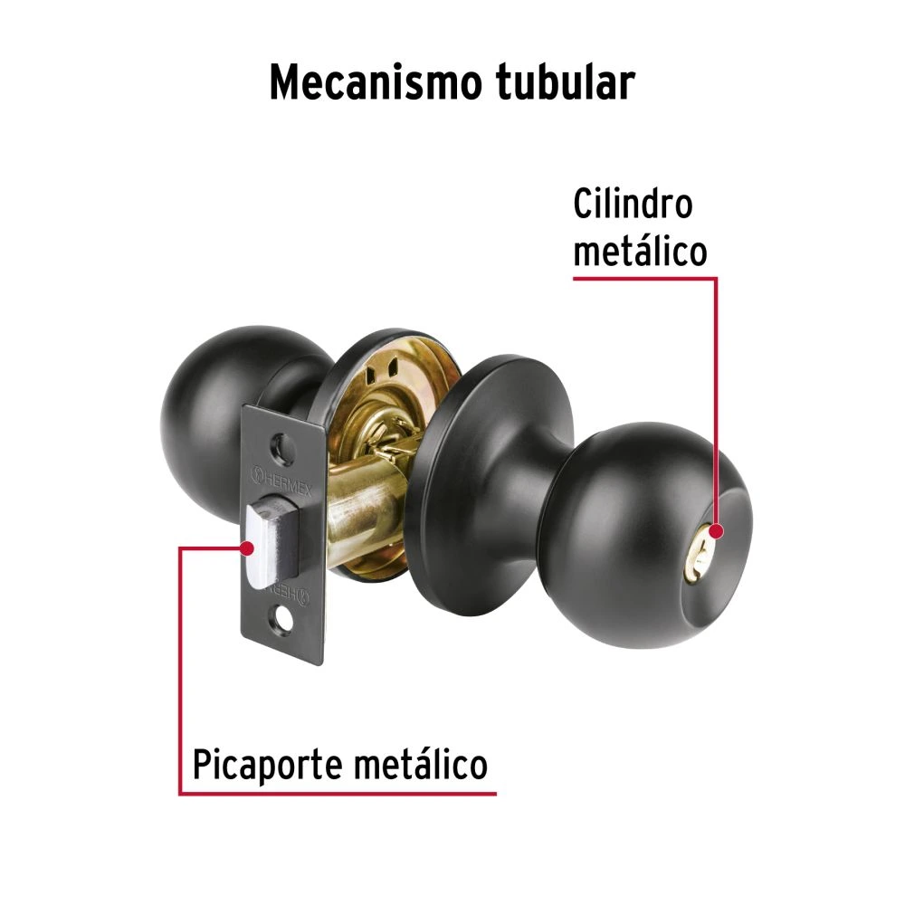 BALT-NE-BP+FC1.webp