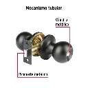 BALT-NE-BP+FC1.webp