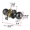 BALT-NE-EPB+FC2.webp