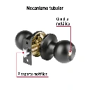BALT-NE-EPB+FC1.webp