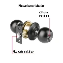 BALT-NE-RPB+FC1.webp