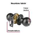 BALT-NE-BPB+FC1.webp