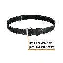 POHE-1CX+FC1.webp