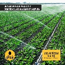 BOAP-1-2P3+MP4.webp