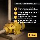 BOAP-1-2P3+MP7.webp