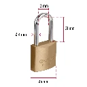 CH-25PL+D3.webp