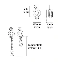 POL-1P+FC3.webp
