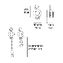 POL-2P+FC3.webp