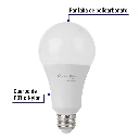LED-150FB+FC1.webp