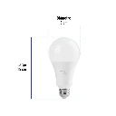 LED-150FB+FC2.webp