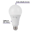 LED-150CB+FC1.webp